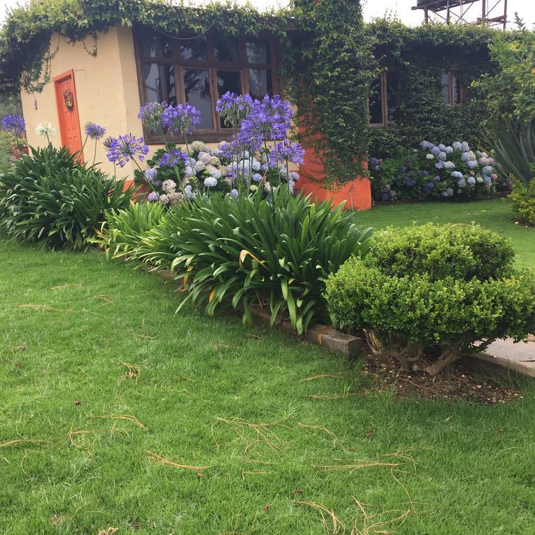 Вилла Cabanas En Mazamitla Betito Экстерьер фото