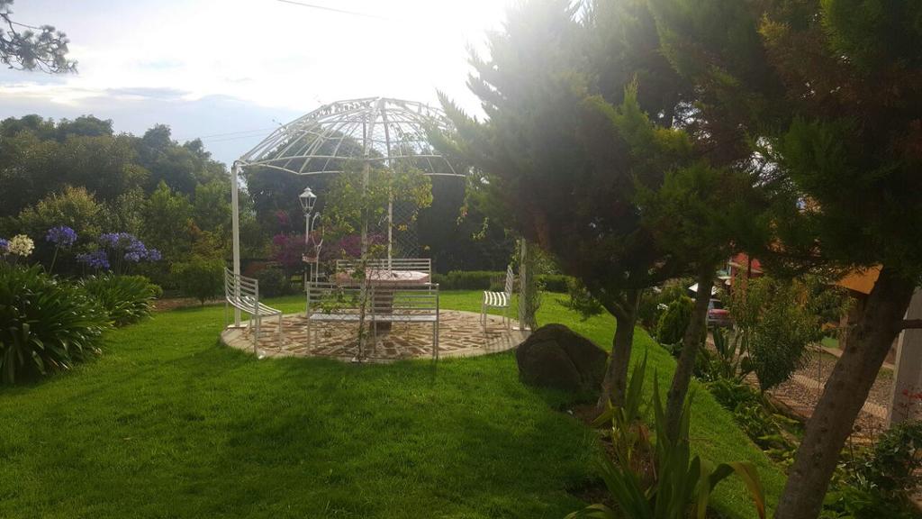 Вилла Cabanas En Mazamitla Betito Экстерьер фото